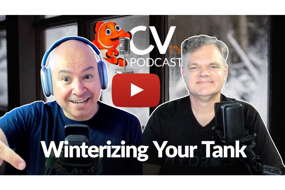 Winterizing Your Aquarium