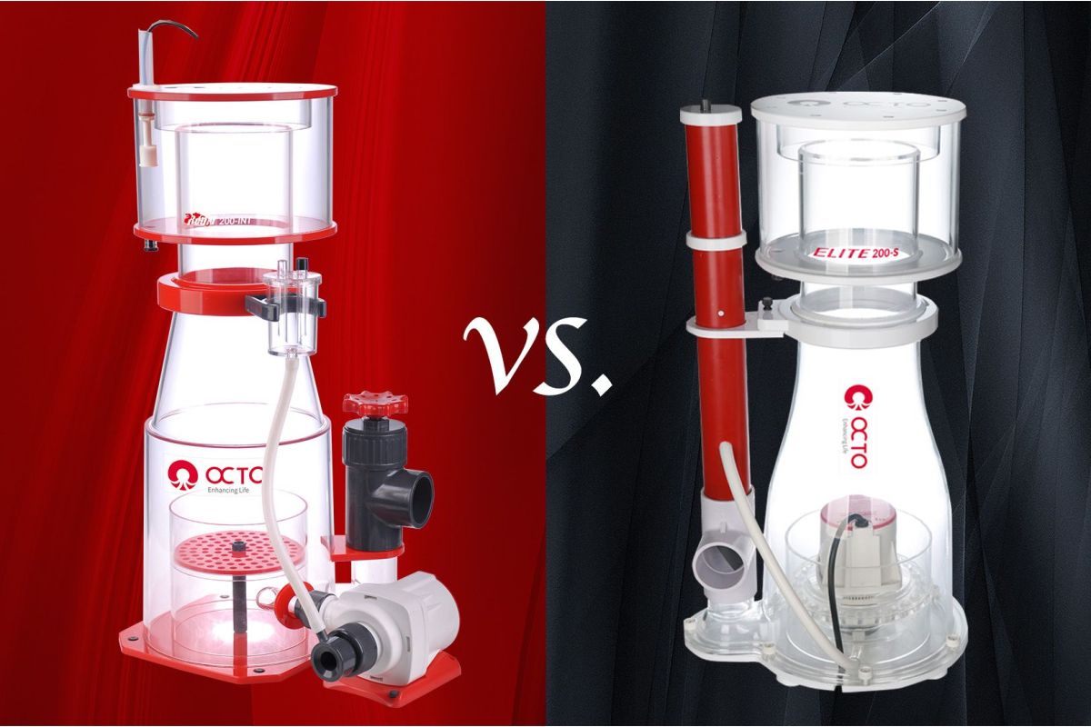 Reef Octopus Elite vs Regal Skimmers