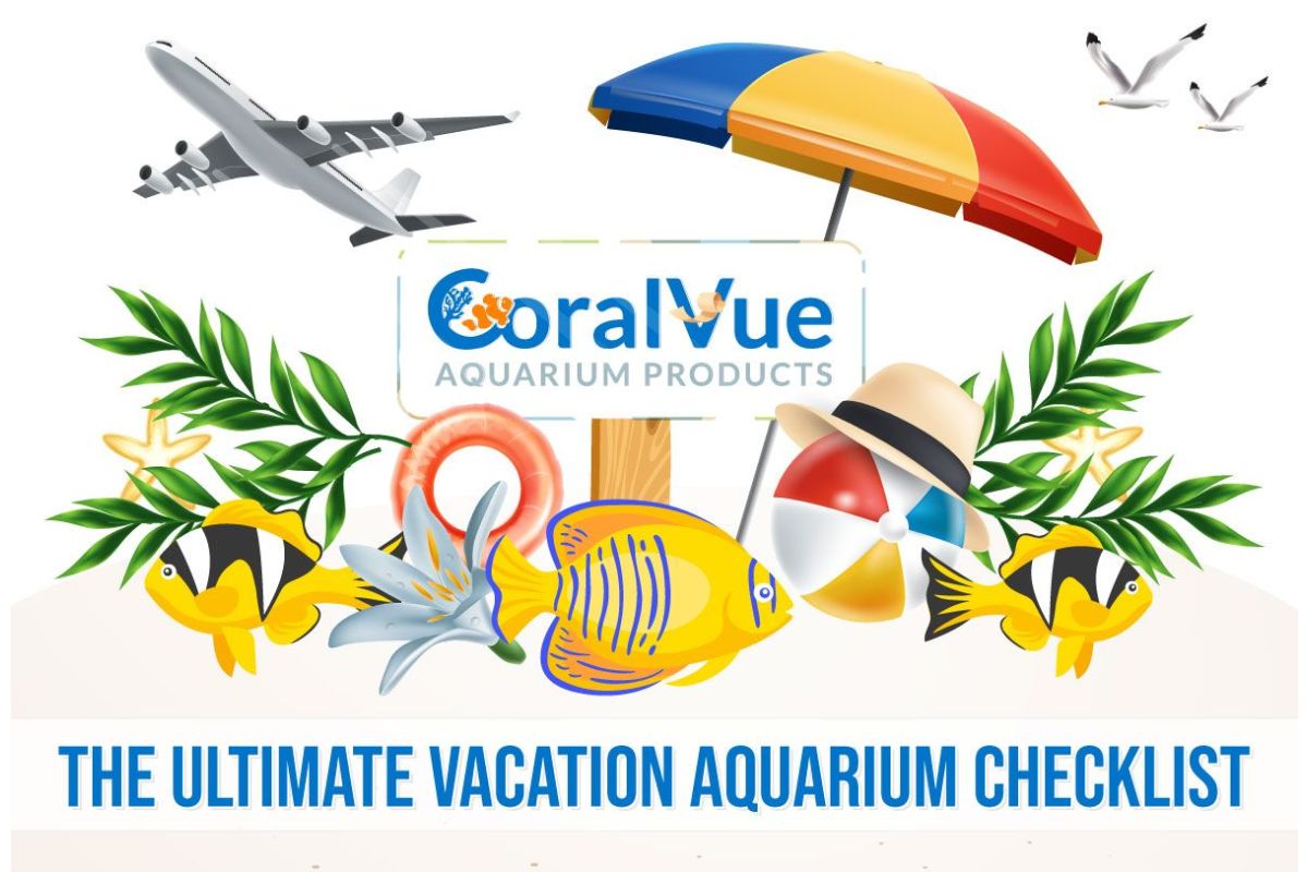The Ultimate Vacation Aquarium Checklist 
