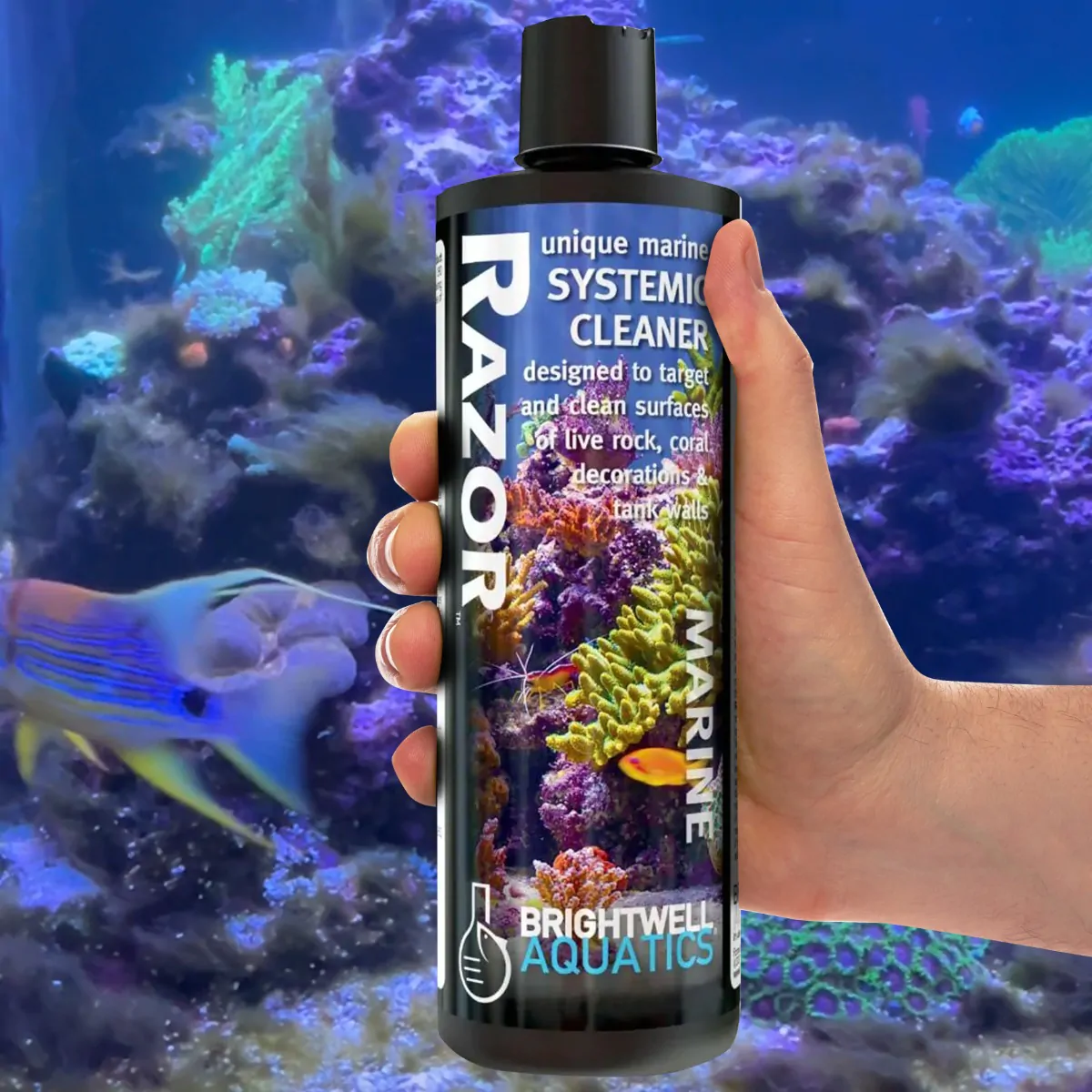 Brightwell_Razor_Solution