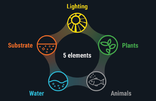 Dennerle Nature's Five Elements