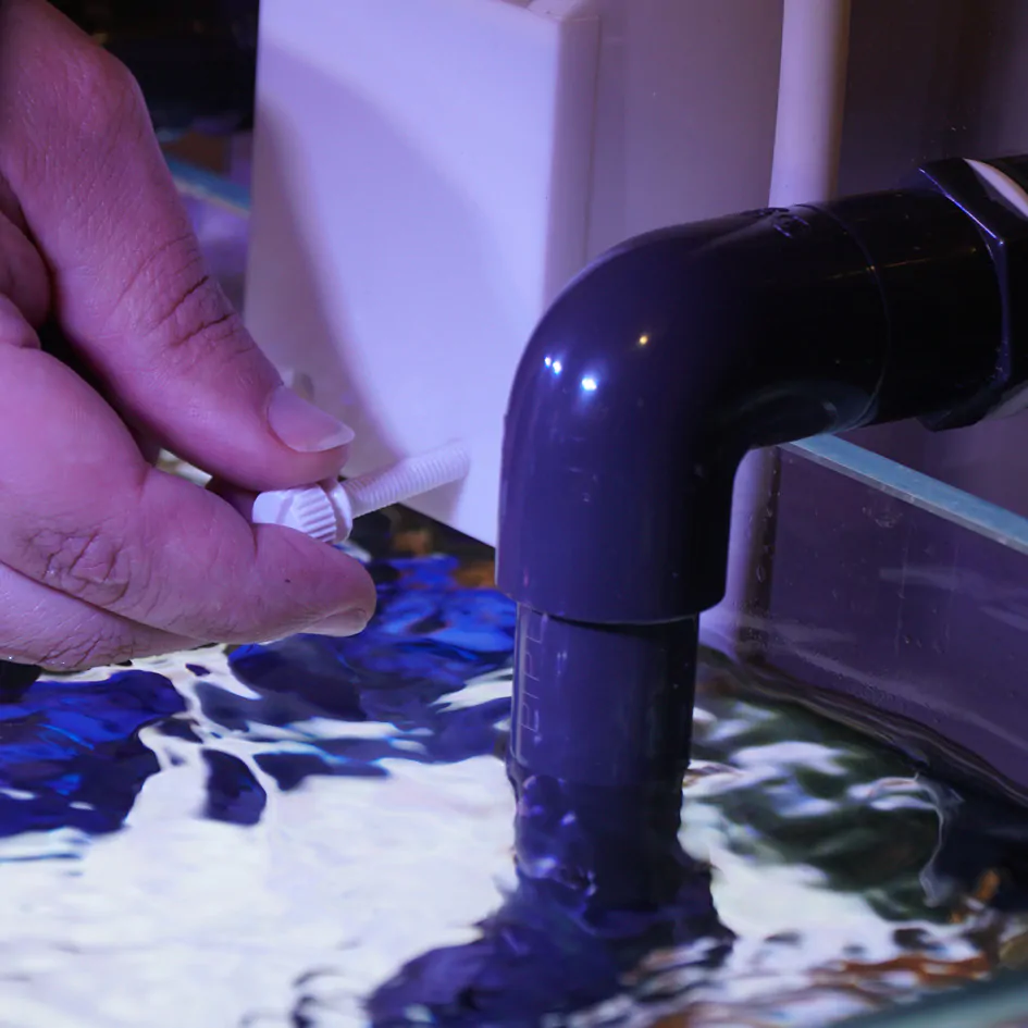 100_HOB_LevelTopScrews