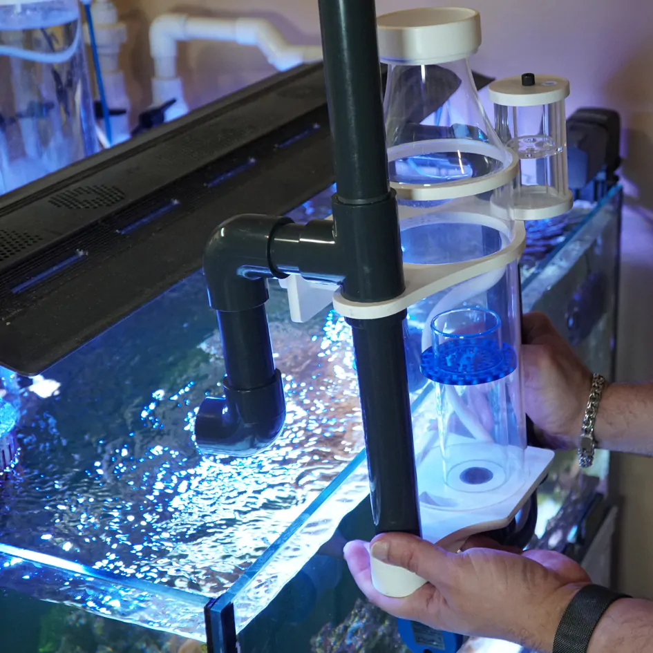 MountOnSideOfAquarium