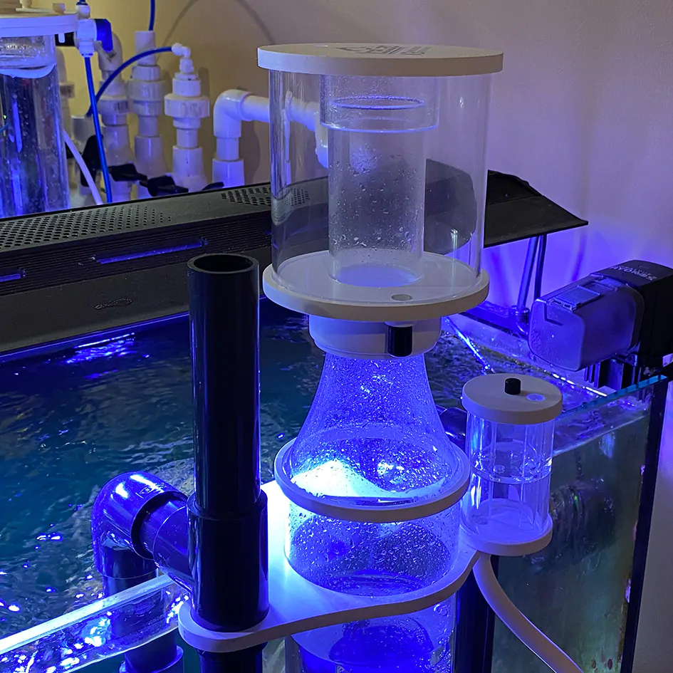 InstallCollectionCup