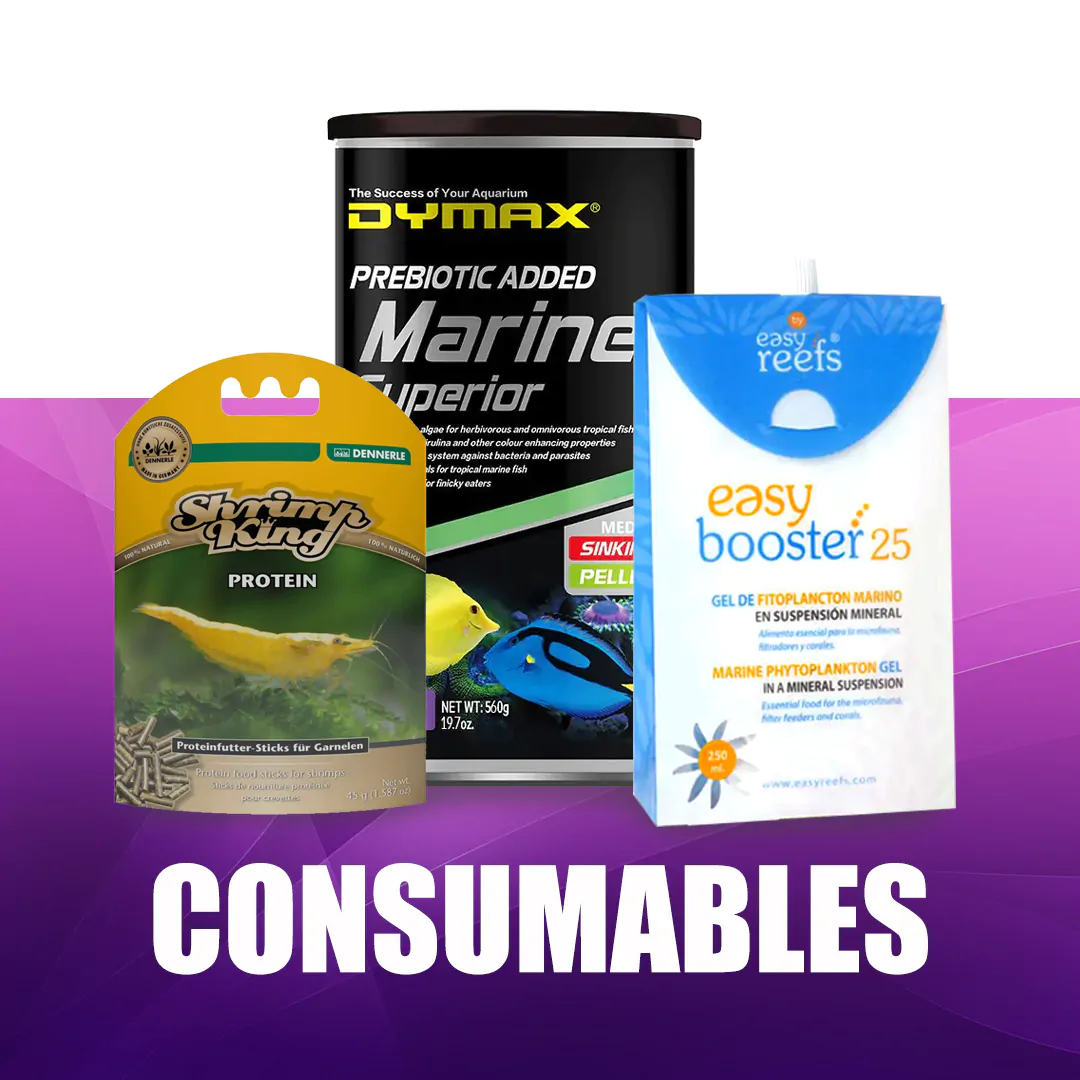 Consumables_Thumbnail_10-24