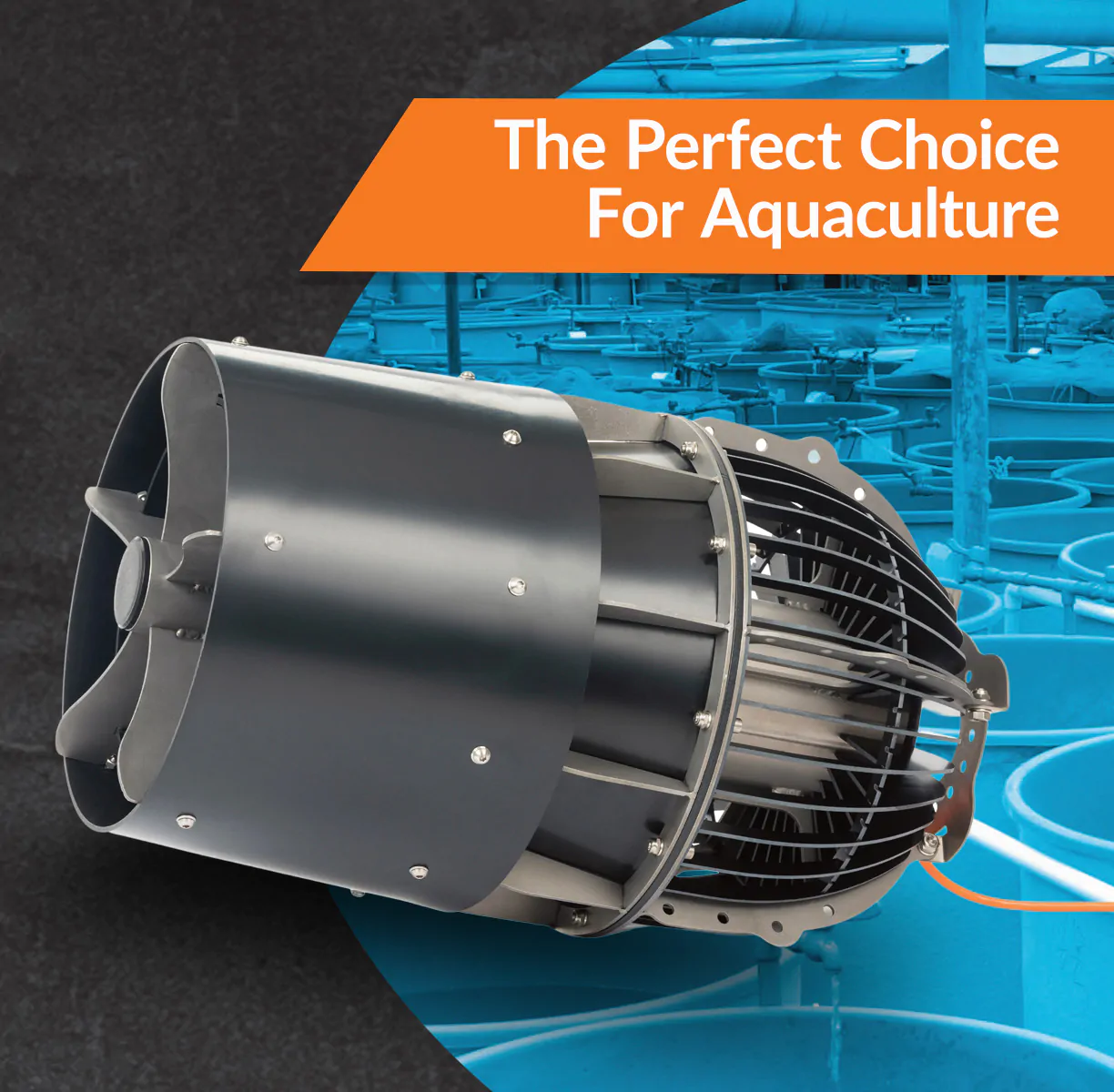 Abyzz_Landing_Page_Banner_Aquaculture_Graphic