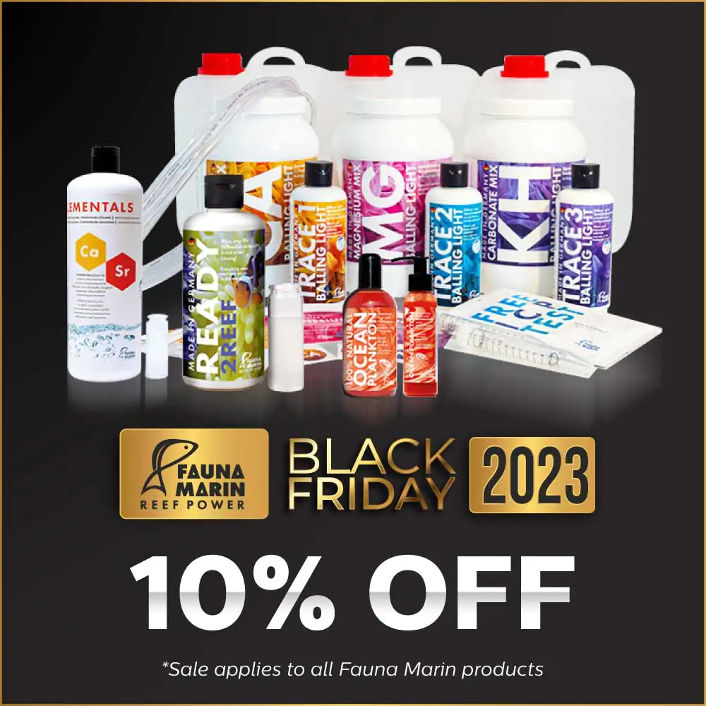 bf-2023-eblast-and-social-fauna-marine