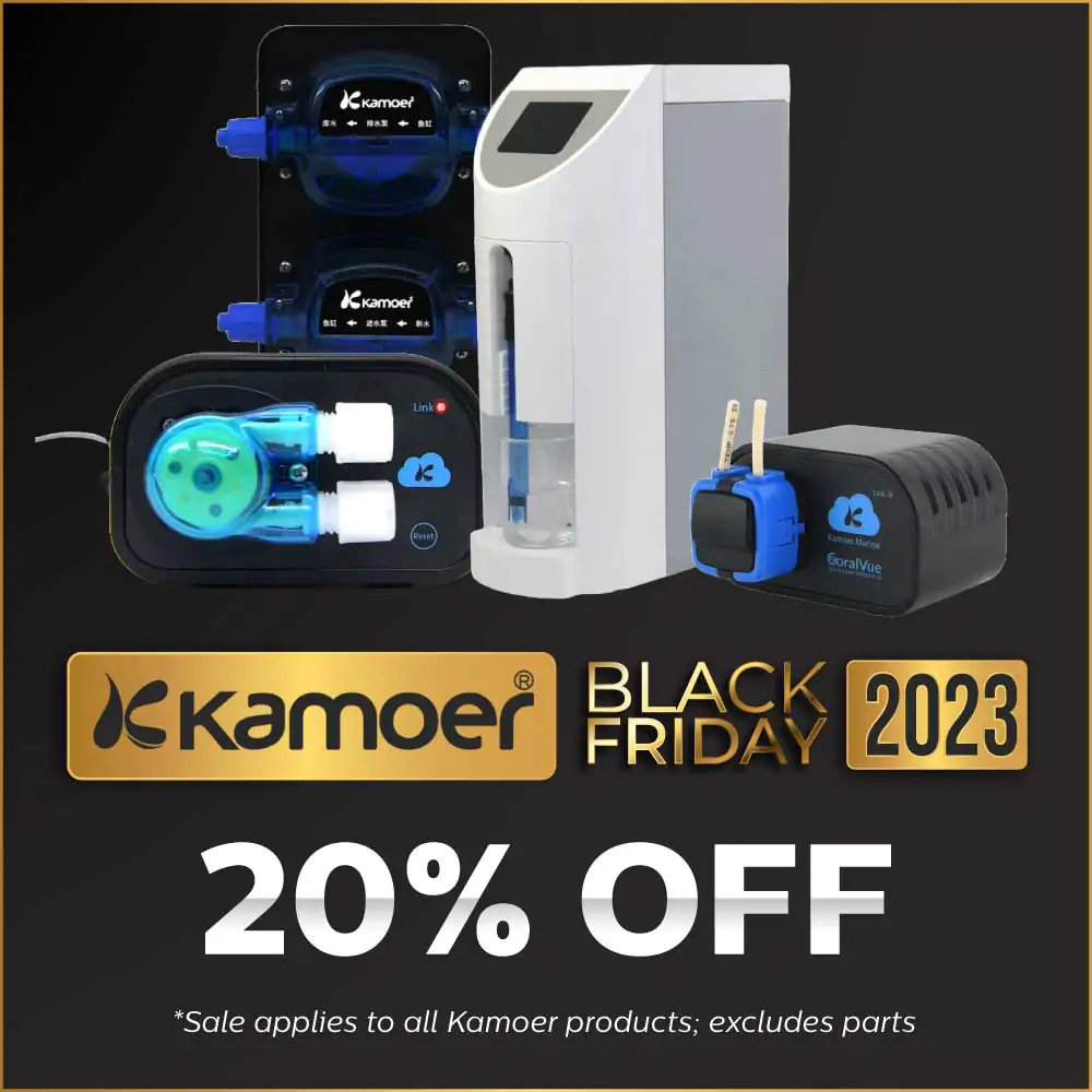 bf-2023-eblast-and-social-kamoer