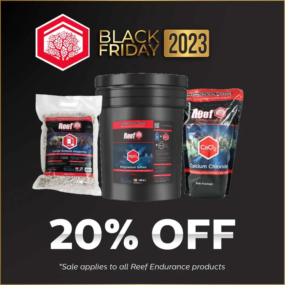 bf-2023-eblast-and-social-reef-endurance