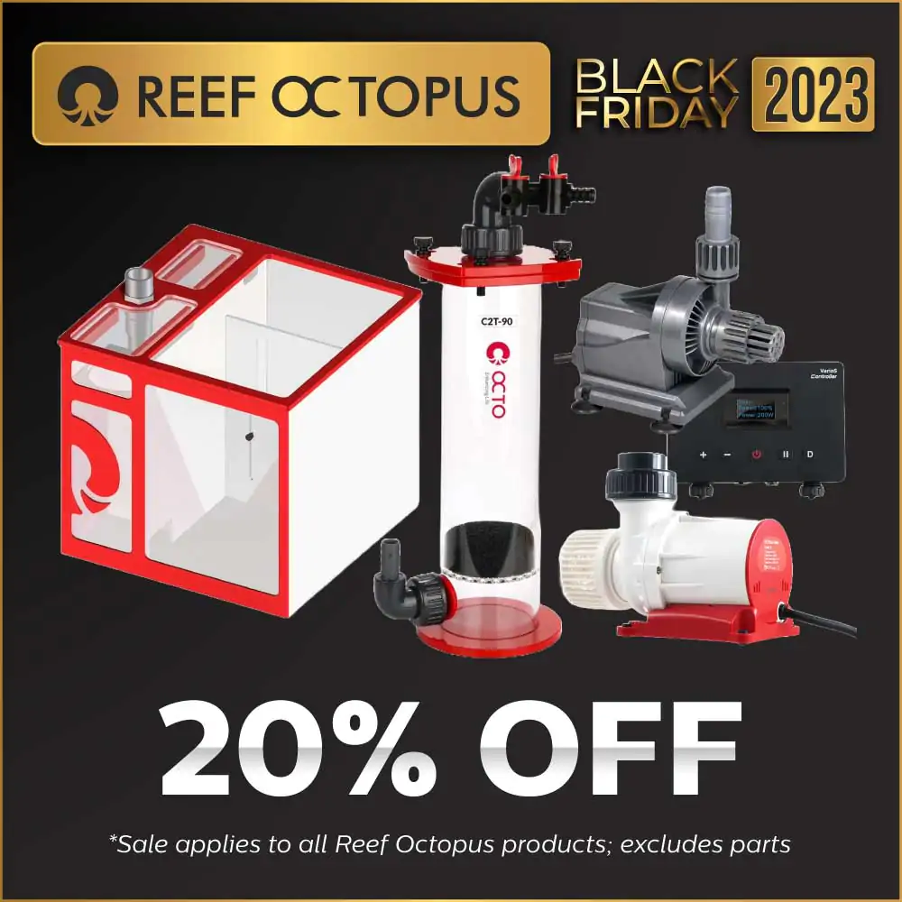 bf-2023-eblast-and-social-reef-octopus